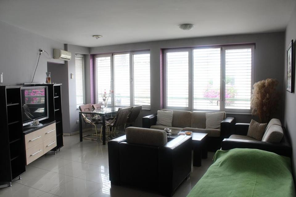 Apartman Natasa 1 弗尔沙茨 外观 照片